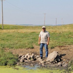 Jason Lenz installed tile drainage on his Bentley-area farm nearly 30 years ago and now uses the run-off it collects as a fresh water source for his cattle.