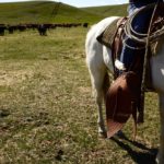 cattle-rancher-img3502-CanadaBeefInc