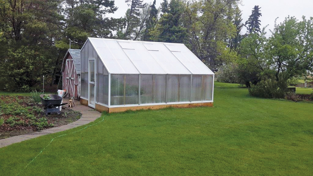 A shelterbelt of trees, a nicely maintained lawn, a meandering sidewalk, a glimpse of the garden, a sturdy wheelbarrow and a watering hose leading to the greenhouse with storage shed at the rear, are some of the attractions in the Van Straalen yard.