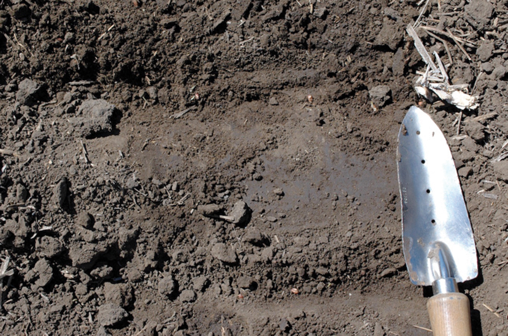Figure 2. The garden trowel I use has neat holes every inch to make depth measurement easy.