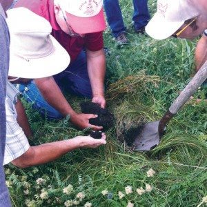 Each plot now gets 127 days of rest, leading to more soil cover and a healthier root system.