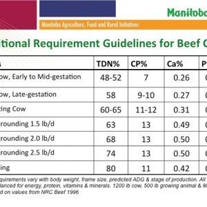 cattle nutrition chart