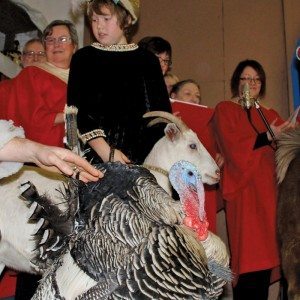 Blake Van Massenhoven, dressed as a wise man, escorts the family’s goat and turkey onto the stage during the performance of Back to the Manger held in the family’s machine shed November 30.