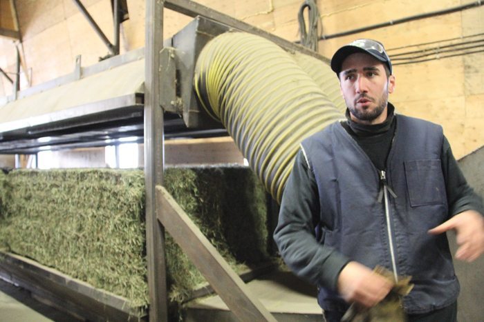 Homemade dryer from Quebec improves hay quality