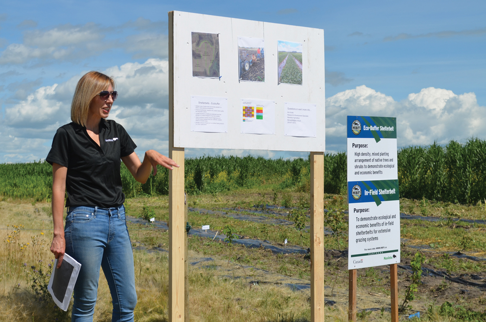 Research development specialist with Manitoba Agriculture, Kim Wolfe is leading a MBFI project looking at riparian area health and shelterbelts.