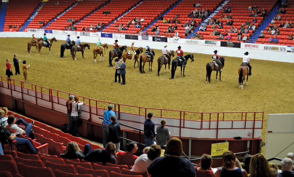 More than 700 Arabian horses and riders took part in the AHA Canadian National event held in Brandon on Aug. 14 to 20.