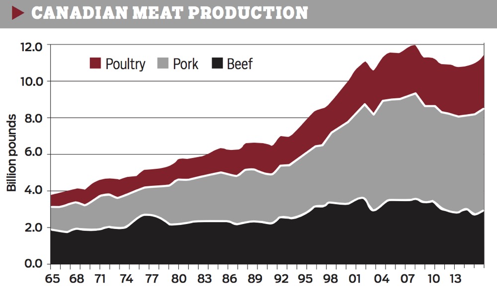 Beef Watch Canadian cattle herd steady Canadian Cattlemen