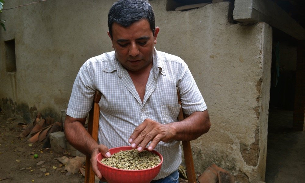 At harvest, 25 workers depend on Felipe Pastrana’s 78-acre farm.