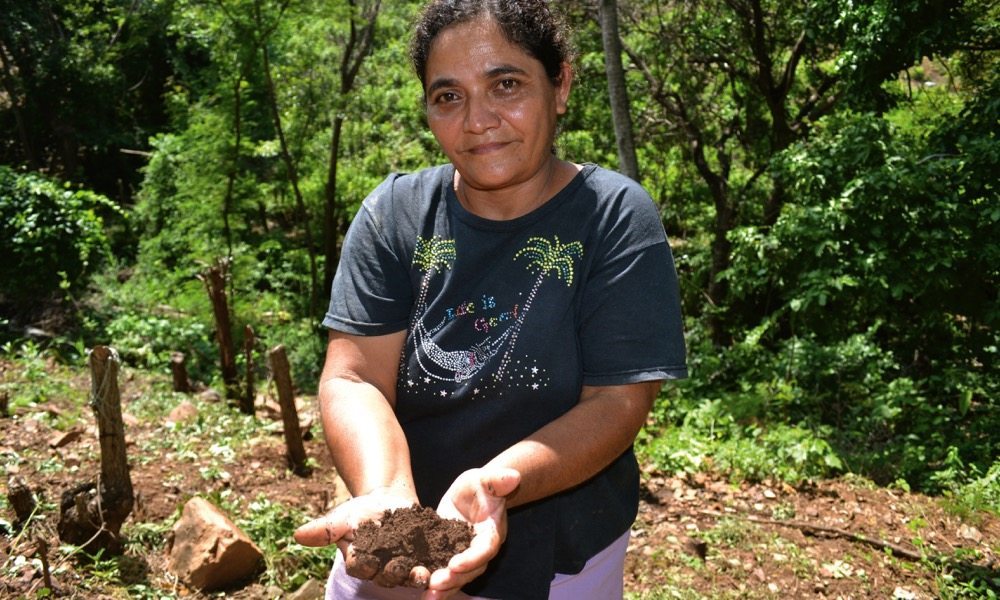 As the soil gets drier, Guillarmina Castro looks to import agronomic strategies like no till.