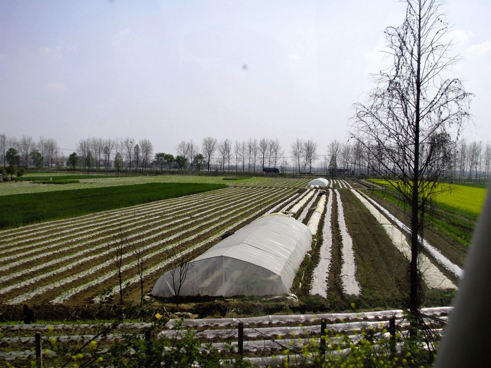 Every available square inch of soil in China is being farmed to maximize its output, whether that’s a vacant lot in a city or, as here, farmland growing multiple crops a year with plastic.