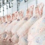 beef carcasses