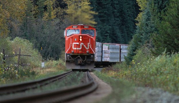 Probe into alleged CN pricing strategy halted - AGCanada - AGCanada