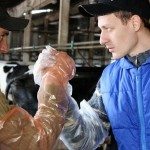 two Ukrainian veterinarians