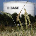 BASF