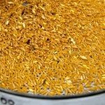 grain sample in dish