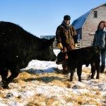 man and woman with calf and mother cow
