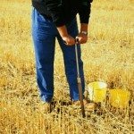 taking a soil sample from a field