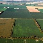 Aerial view of farmland in Canada