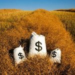 Bags Of Money On A Farm Field