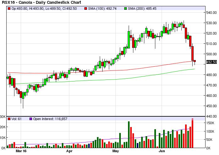 canola chart