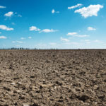 plowed field and blue sky