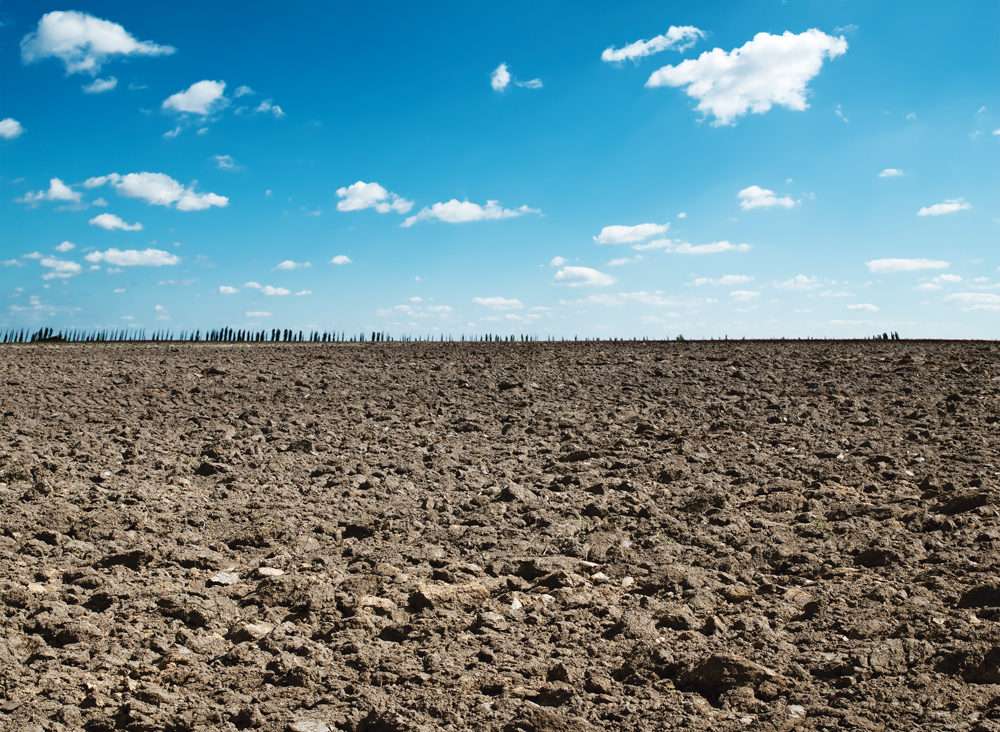 plowed field and blue sky