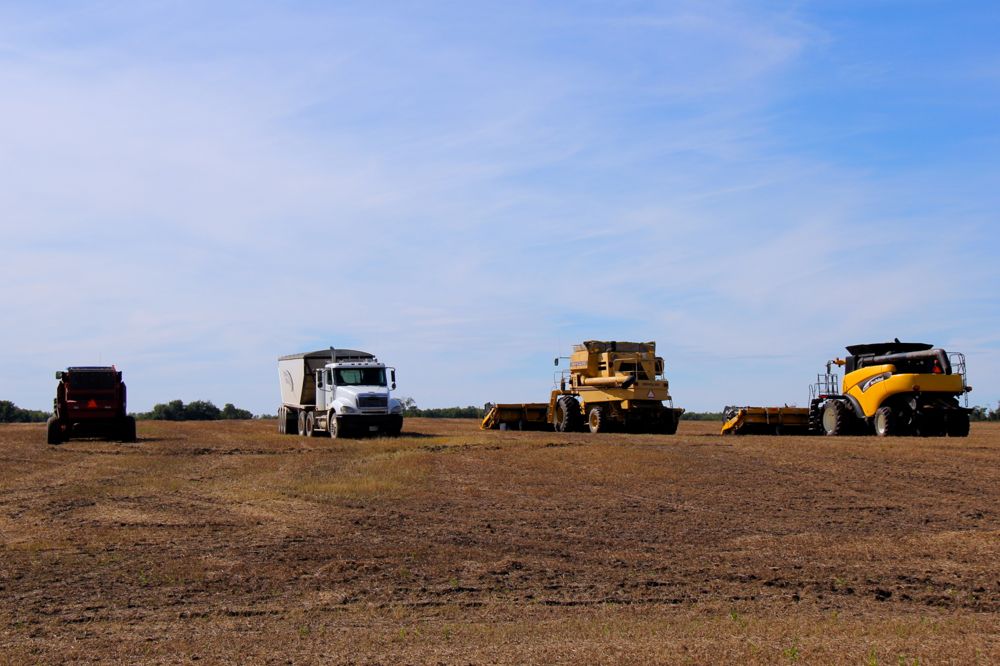 harvest16
