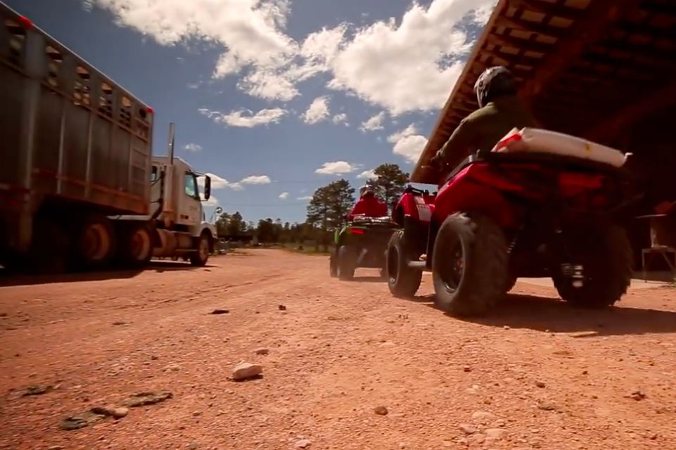 Image pour Textron to buy Arctic Cat