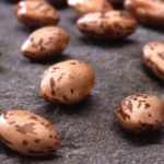 pinto beans