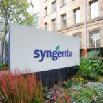 syngenta