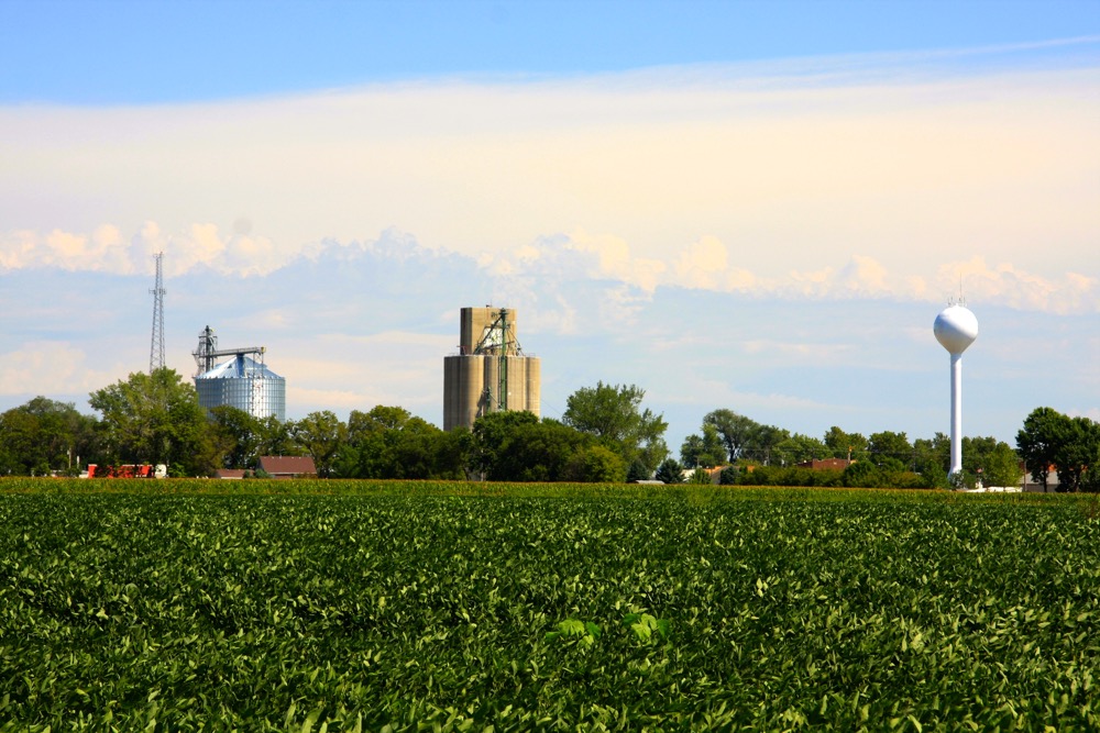 Soybean Field on the Edge of Small-Town Iowa