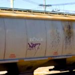 Bunge