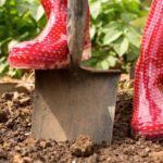 Woman wearing red rubber boots using shovel
