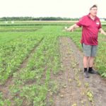 dicamba drift