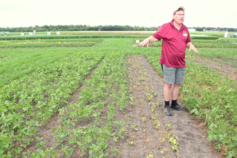 dicamba drift