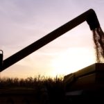 harvesting silhouette