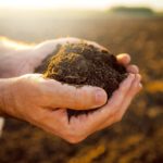 Handful of arable soil in hands of responsible farmer, close up, selective focus
