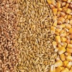 feed grains