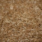 canary seed
