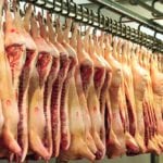 hog carcasses