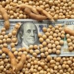 money in soybeans