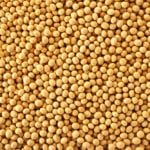 Heap of soybeans, close up, full frame