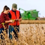 Young farmers in soybean fields before harvest