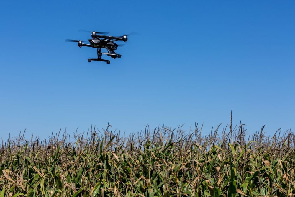 drone