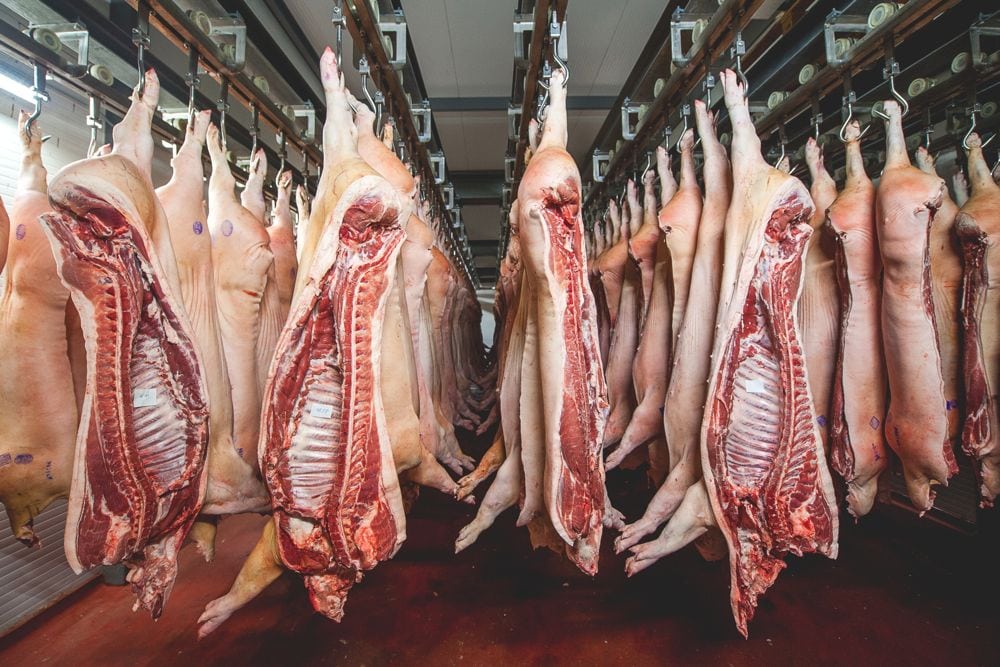 pork sides in storage
