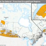 livestock tax deferral