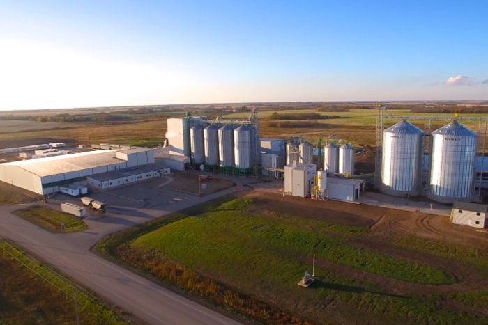 grain millers yorkton
