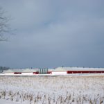 hog barns