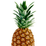 Ripe whole pineapple isolated on white