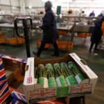 british asparagus